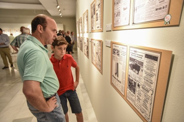 La exposición permanecerá abierta hasta finales de mes. / J.V. ARNELAS
