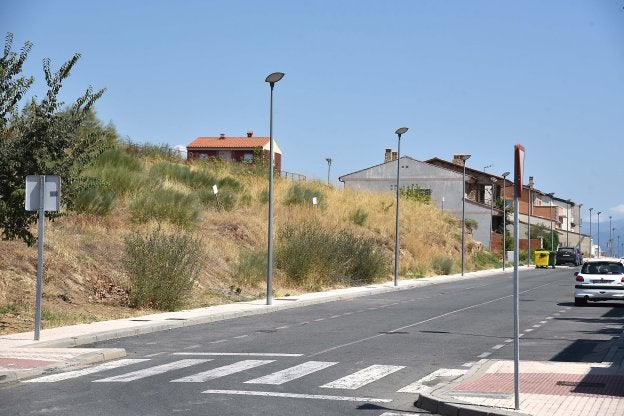 Algunas de las parcelas de la calle Hinojo que salen a subasta y que necesitan desmonte. :: david palma