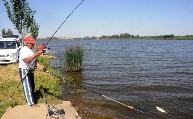 Un aficionado a la pesca deportiva en el río Guadiana en Mérida.