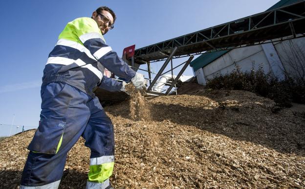 Astillas que sirven de combustible a las calderas de biomasa en la Universidad de Valladolid. :: A. Mingueza/