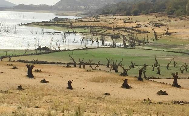 El embalse de Baños de Montemayor acusa la falta de lluvias:. CEDIDA /