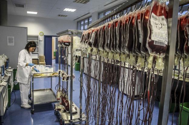 Laboratorios del Banco de Sangre de Extremadura, situado en la carretera de Valverde. :: j. m. romero/