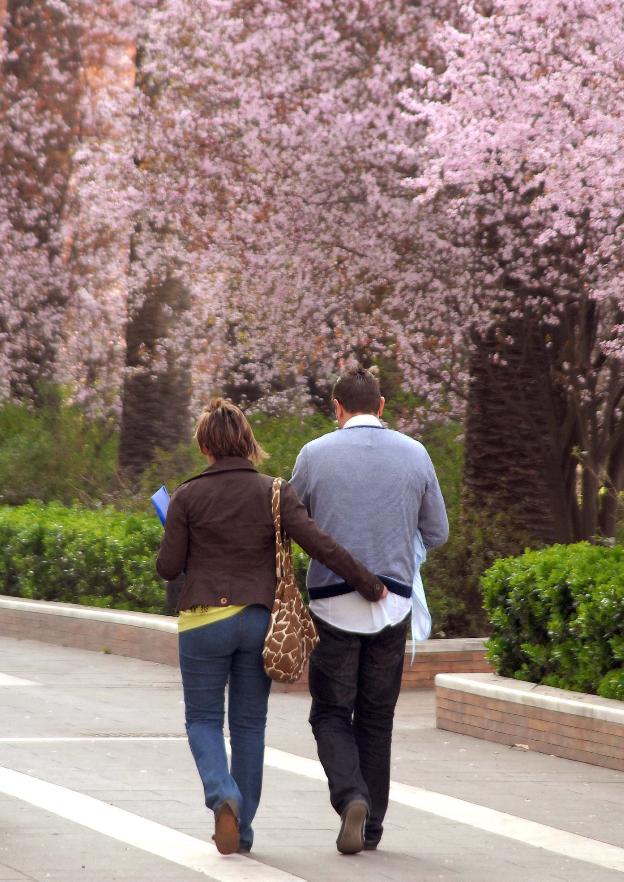 Pareja de novios paseando. :: hoy/