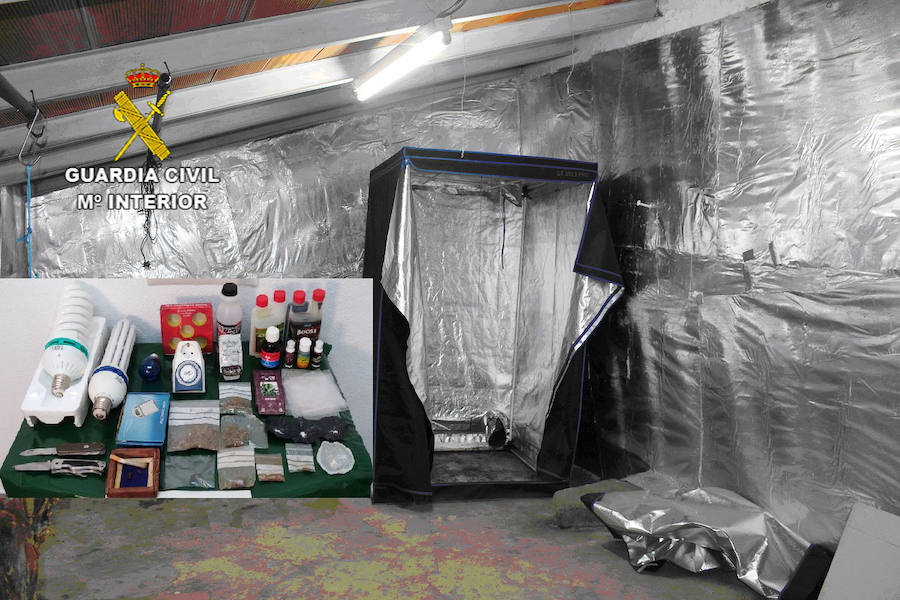 Sistema preparado para la plantación del cultivo de marihuana:: HOY/