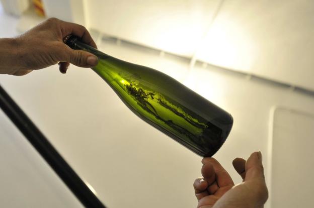 Un técnico coge una botella de cava extremeño y mira el color del producto. :: hoy/