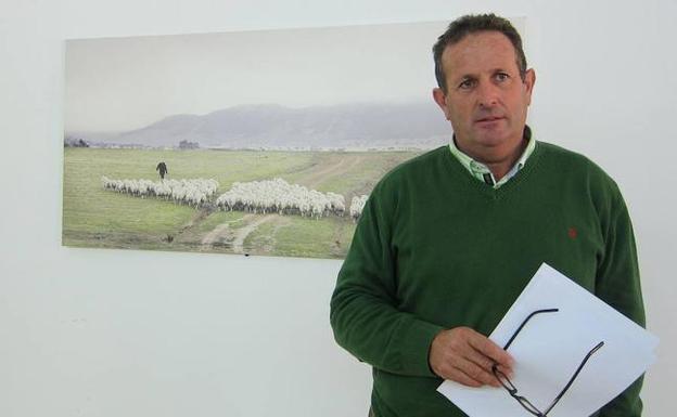 APAG denuncia «relajación» ante los robos de aceitunas