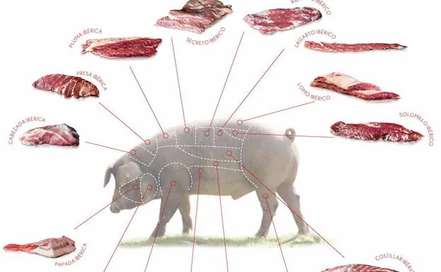 Carne fresca de cerdo ibérico