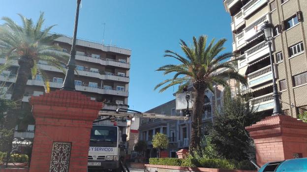 El mantenimiento de los parques se privatizó en 2014. :: g. c./