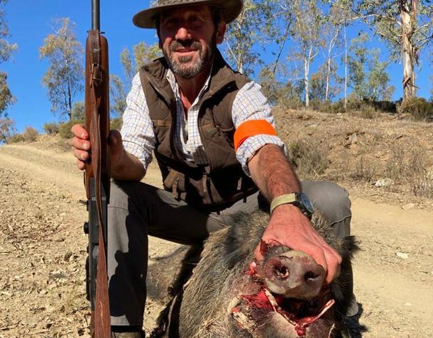 Muy pocos cazadores han logrado matar al jabalí.