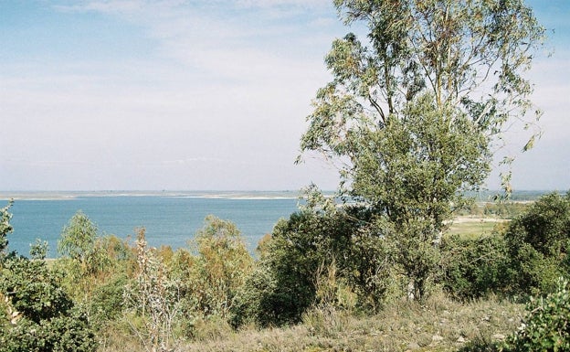 Imagen de la isla tomada en febrero de 2006.