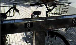 Aprobada la segunda fase del sistema de uso público de bicicletas en Cáceres