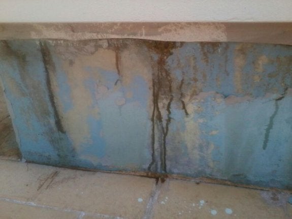 Descomposicion De Un Cadaver En Un Nicho