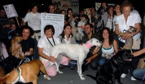 Los perros se echan a la calle