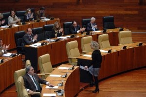 Teresa Angulo (PP) aplaudida por su grupo tras defender la modificación legal. :: BRÍGIDO/