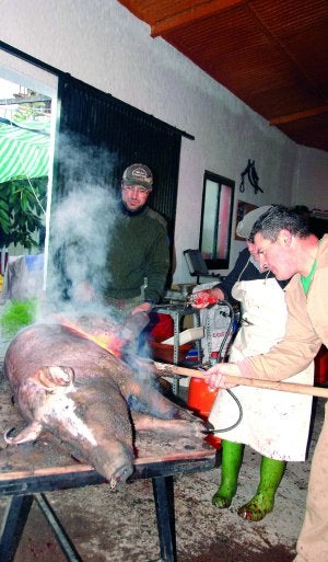 Raúl Flores, de 34 años, limpia el cerdo tras ser chamuscado en la casa de sus padres en La Morera, en el suroeste extremeño. :: ACEVEDO/