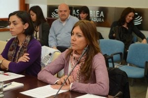 Beatriz Maesso, en su última comparecencia en la Asamblea. :: BRÍGIDO/