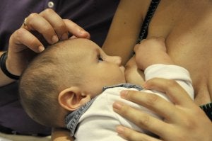 «La leche materna es el producto perfecto»