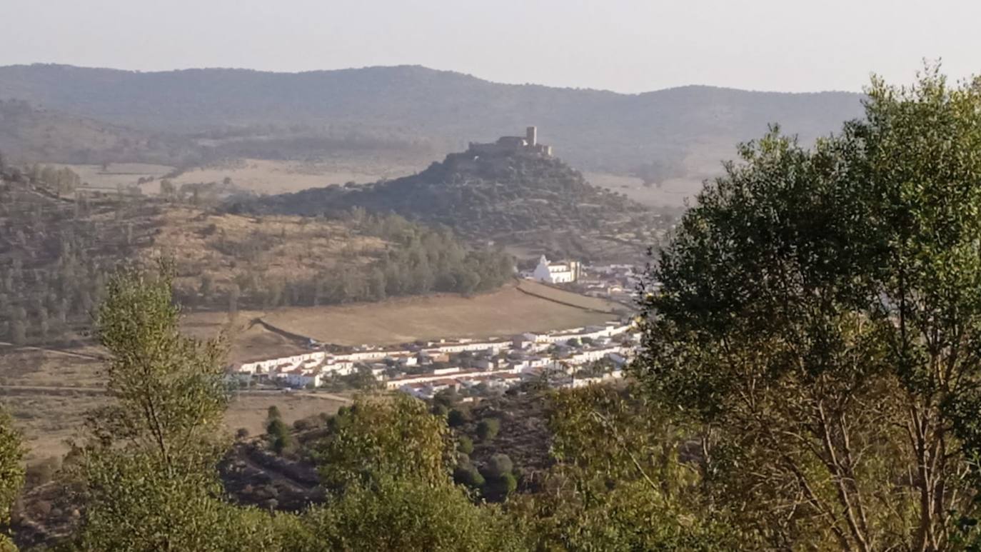 A licitación el aprovechamiento de pastos en fincas municipales de Alconchel