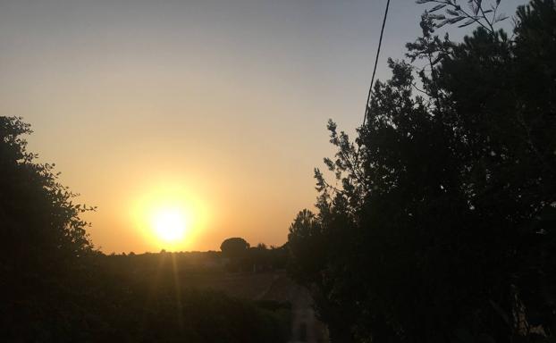 Nivel rojo en Tierra de Barros por altas temperaturas durante cuatro días