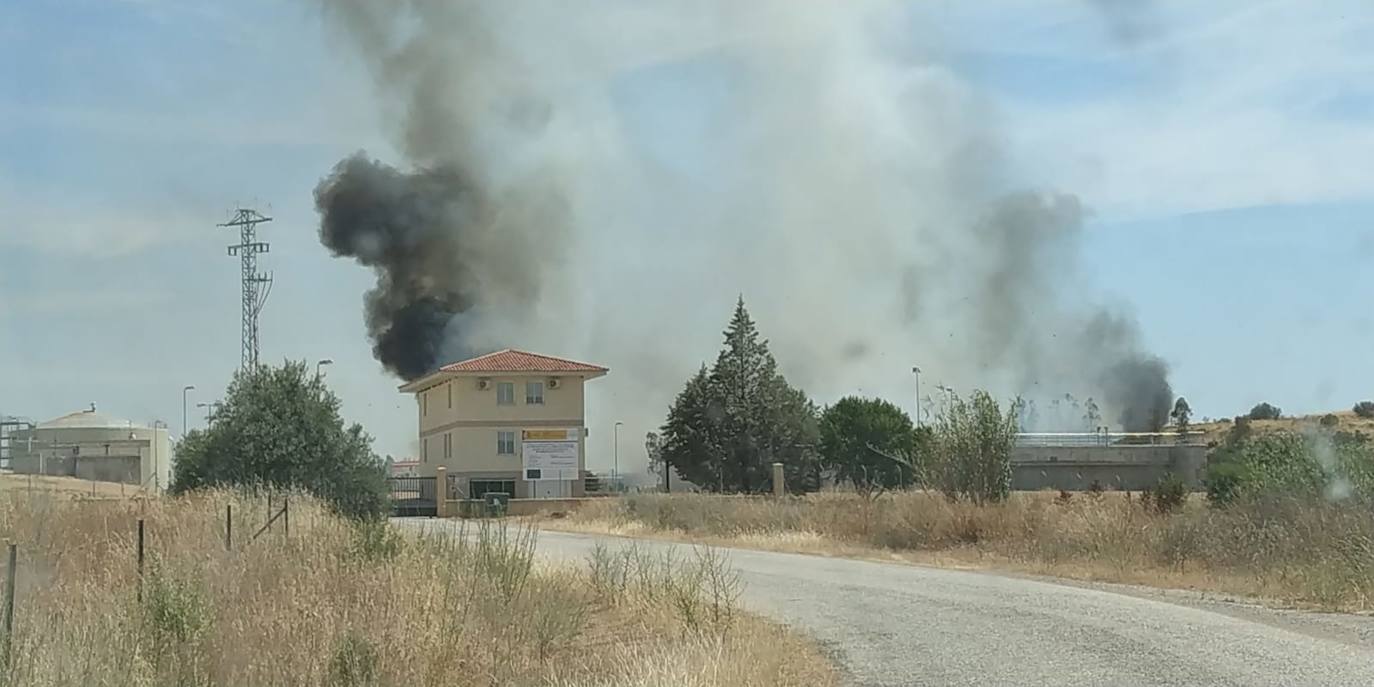 Los incendios se mantienen en una cifra «normal o algo menor» este verano