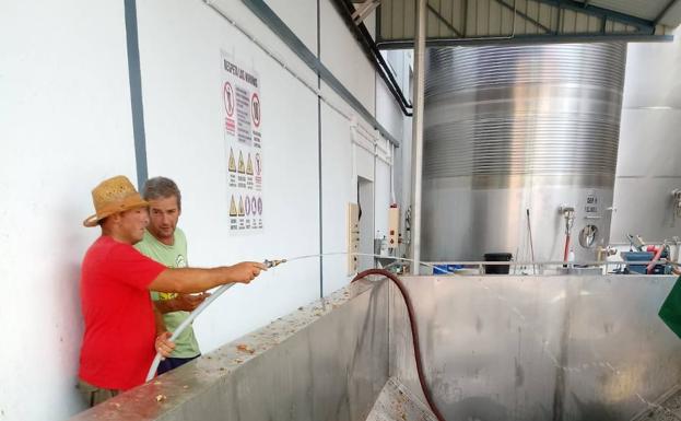 Las organizaciones agrarias creen que la vendimia será ruinosa para el agricultor