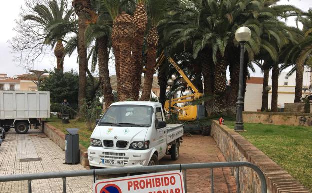 Sale ardiendo un vehículo eléctrico del servicio de parques y jardines