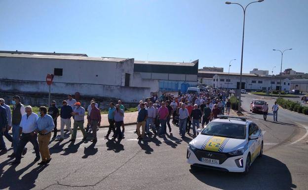 La jornada de protesta hace que se paralice la recogida de aceitunas en Tierra de Barros