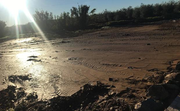 La CHG licitará un estudio para buscar soluciones a las riadas en Almendralejo