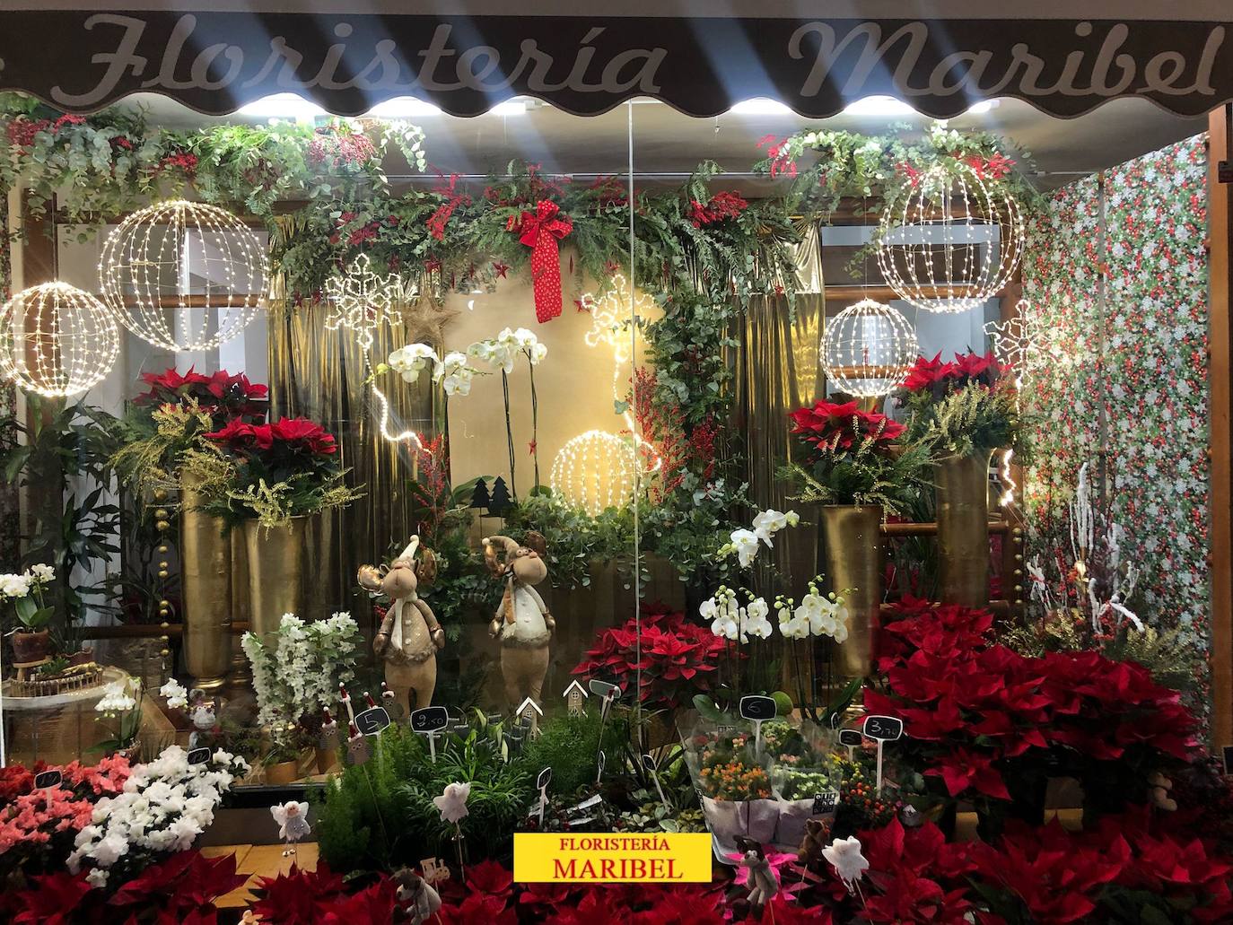 La Floristería Maribel gana el concurso navideño de escaparates