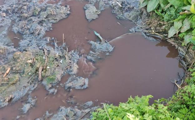 Denuncian ante el Seprona un vertido de aguas residuales en el camino del Escambrón
