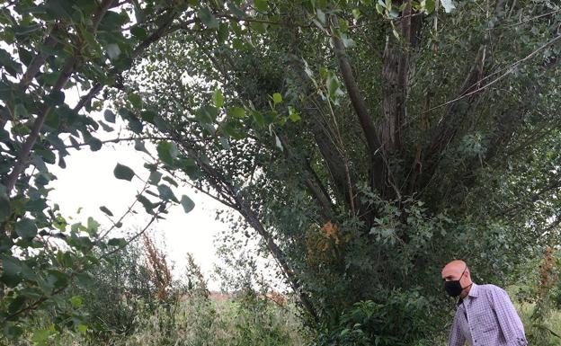 La Asociación Equipo Europa reconoce el proyecto 'Anillo Verde'