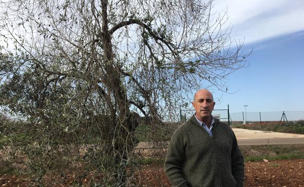 Denuncian que partículas evaporadas de las balsas de la alcoholera dañan 98 olivos