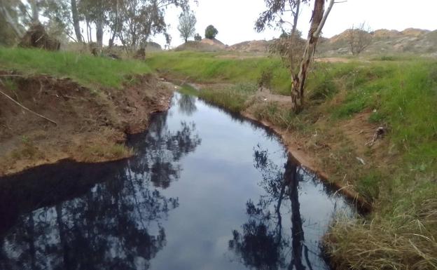 Denuncian ante el Seprona vertidos al arroyo Husero de balsas de evaporación de industrias aceituneras