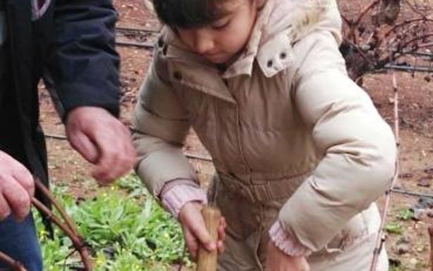 El Museo del Vino retoma los talleres de poda para escolares