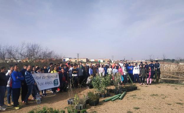 Destrozan los árboles plantados por voluntarios del IES Arroyo Harnina en el Charnecal