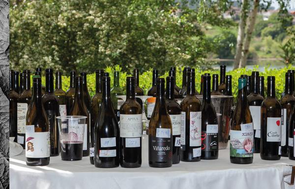 Algunos de los vinos premiados en el concurso nacional. 