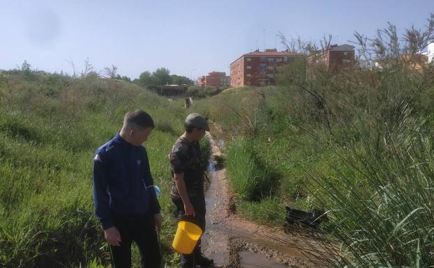 El próximo sábado habrá una feria con asociaciones conservacionista en la plaza de Extremadura