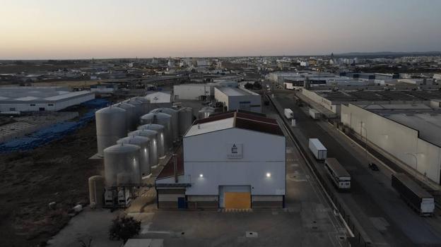 Viñaoliva destinará a mosto concentrado parte de la uva de baja graduación de este año