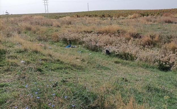 El PP califica de «engaño» que se destine dinero de arreglo de caminos a limpiar arroyos