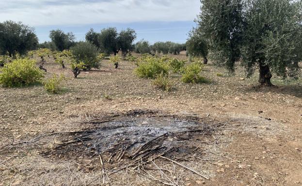Todos los grupos políticos aprueban en Pleno que no se prohíba la quema de restos de poda en el campo