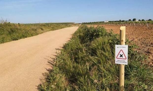 Las obras de arreglo del Camino Lobón comenzarán en un mes