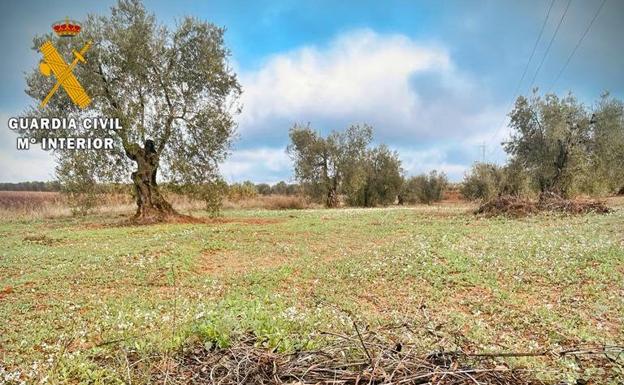 Desactivada una granada que apareció en una finca agrícola