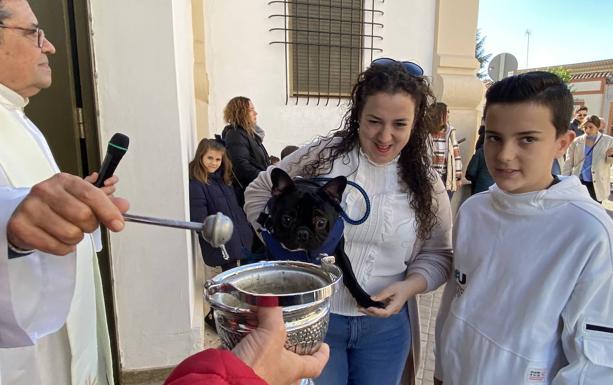 El párroco de San Roque ha bendecido a 134 animales por San Antón