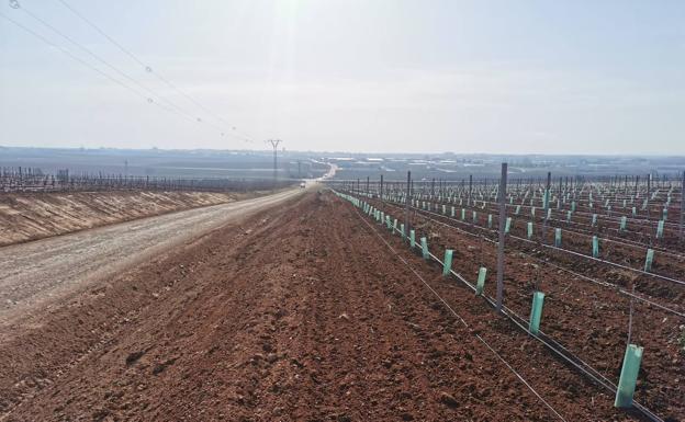 La Comunidad de Labradores dice que el arreglo de la vereda Corona ha excedido la anchura establecida