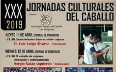 XXX Jornadas Culturales del Caballo en Arroyo de la Luz