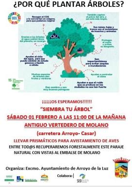 Arroyo de la Luz organiza una plantación de árboles para recuperar el paraje del antiguo vertedero de Molano