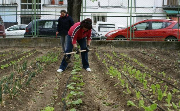 Organizan cursos en Cuacos de Yuste para fomentar huertos ecológicos