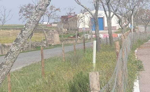 Vecinos de Arroyo se quejan de que la Guardia Civil les prohíbe utilizar el camino más corto para dar de comer a sus animales