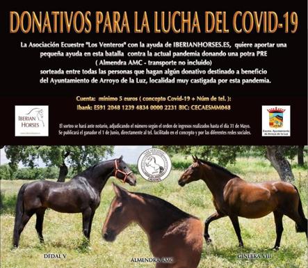 La Asociación Ecuestre Venteros rifa una potra para ayudar a Arroyo en la lucha frente al coronavirus