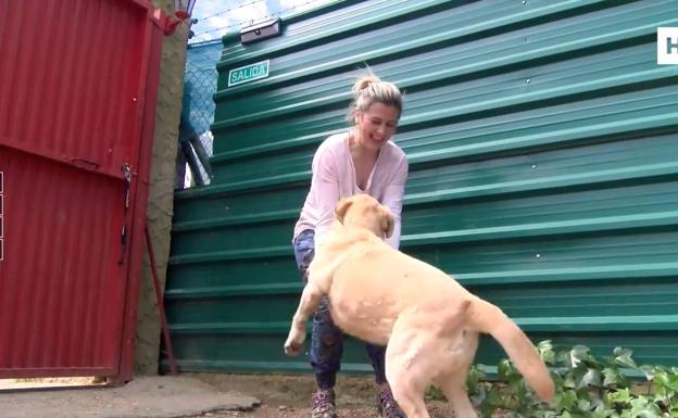 Los abrazos tras la batalla contra el virus